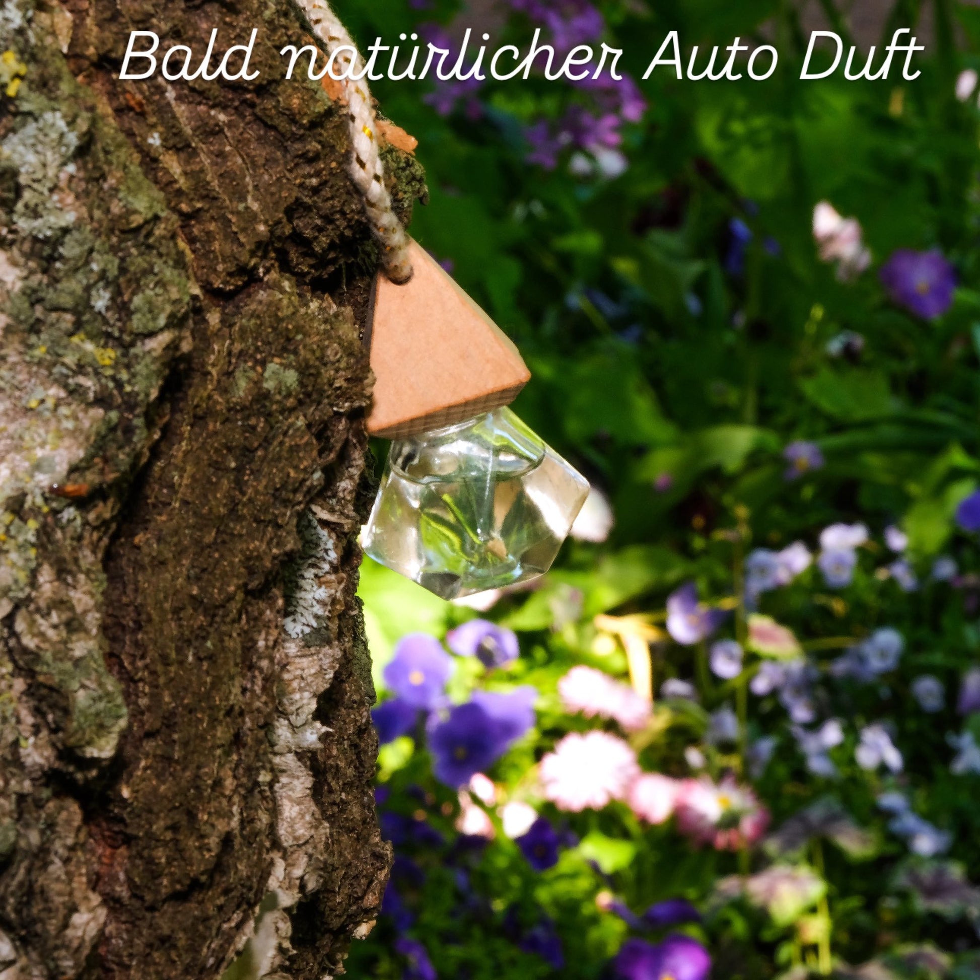 Natural Car Fragrances – Pure Scents for a Peaceful Drive