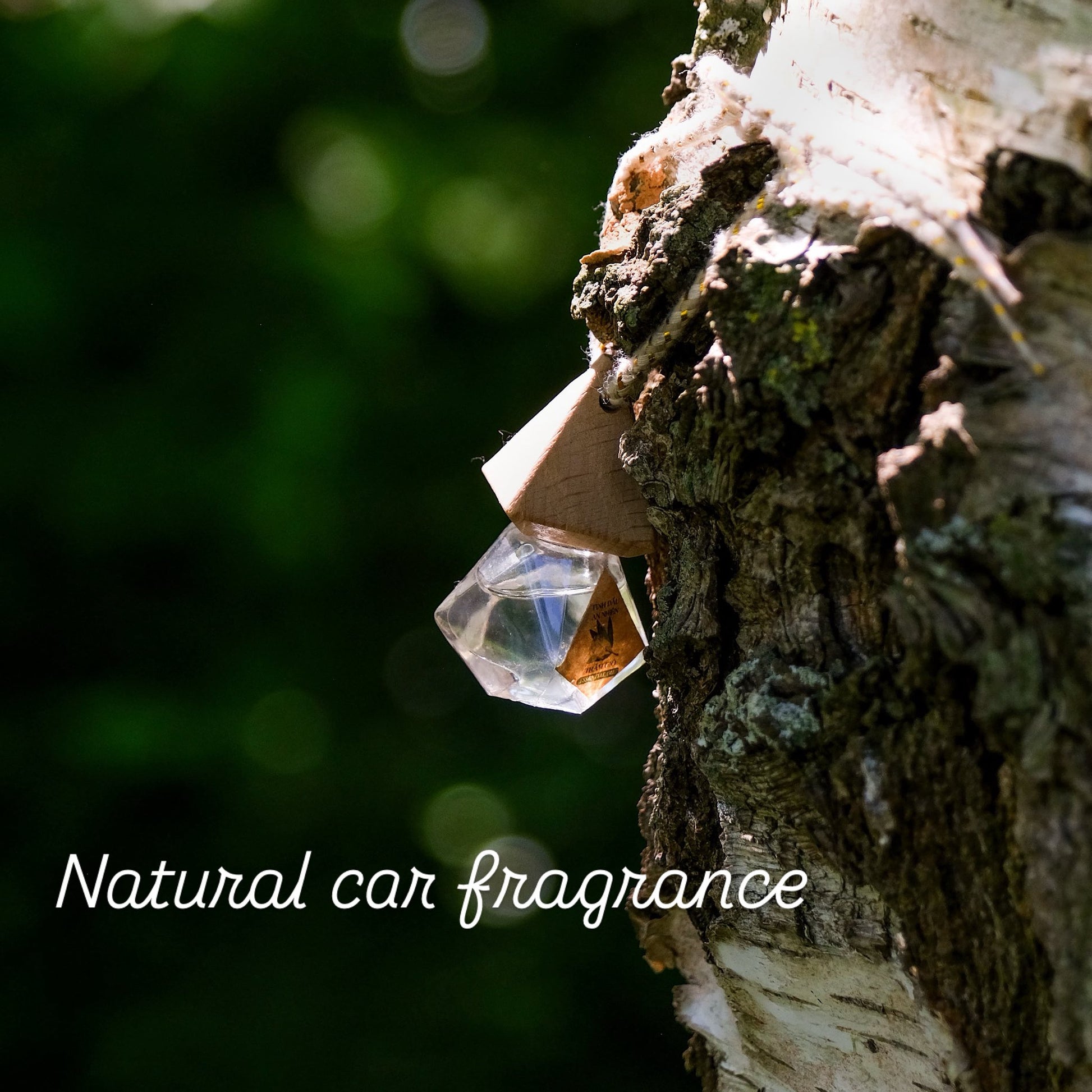 Natural Car Fragrances – Pure Scents for a Peaceful Drive